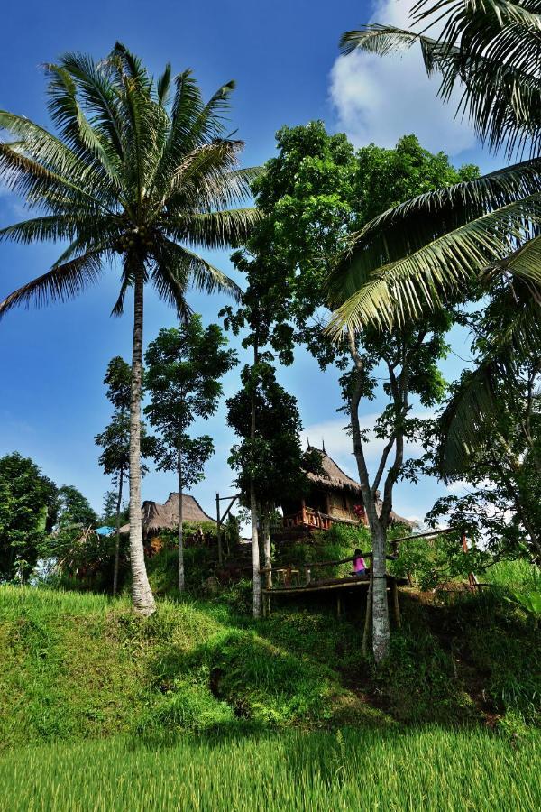 Hotel Satu Lingkung à Tetebatu Extérieur photo